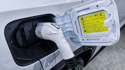 中国台北伊朗对决深度解析：早9时关键战况，战绩亮点抢先看